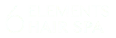 6 elements hair spa